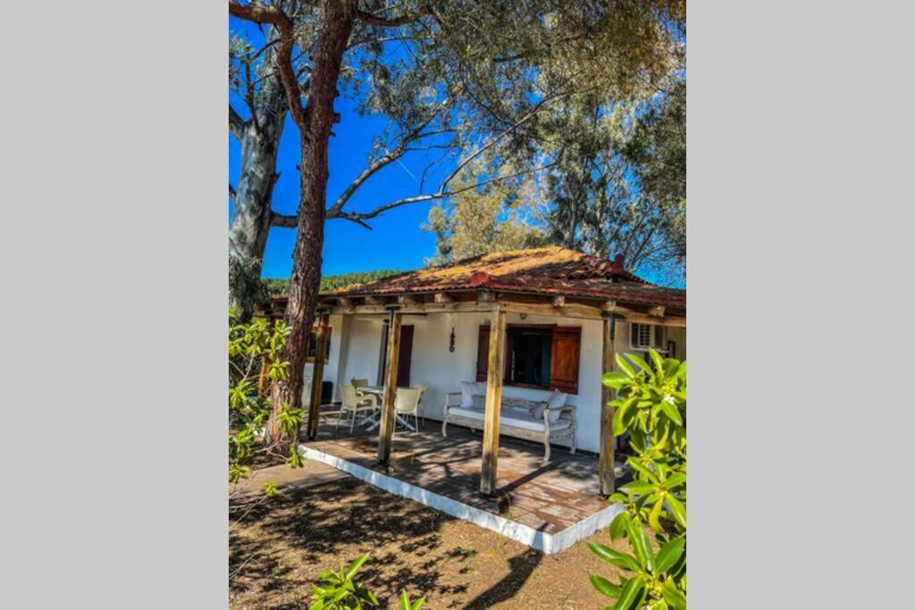 Amouage Boutique Home Kolios المظهر الخارجي الصورة