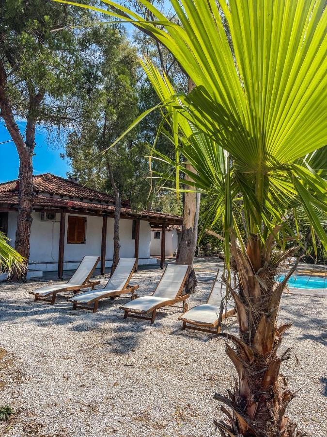 Amouage Boutique Home Kolios المظهر الخارجي الصورة
